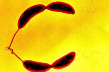 Keo siêu bám dính dùng ở môi trường ướt và mặn